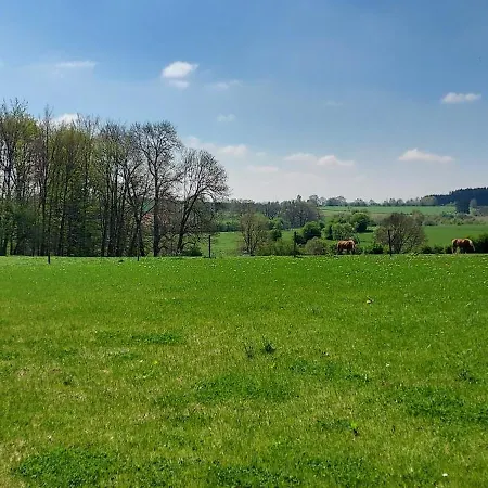 Holiday home Maison Belle Vue Gouvy
